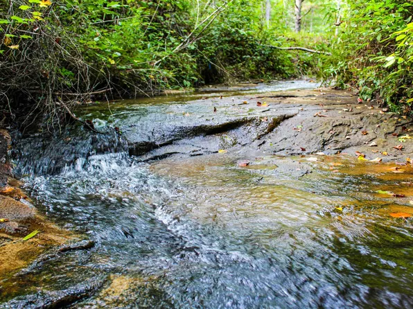 1 County Road 8 #0, Double Springs, AL 35553