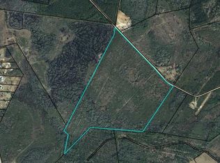0 Moody Bridge Rd, Ludowici, GA 31316