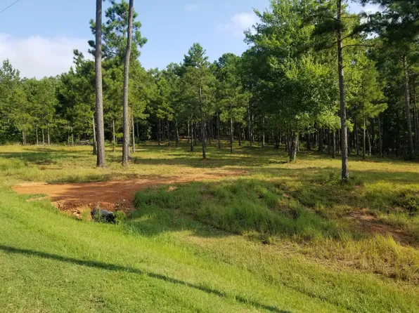 1530 TREASURE COVE, Tignall, GA 30668