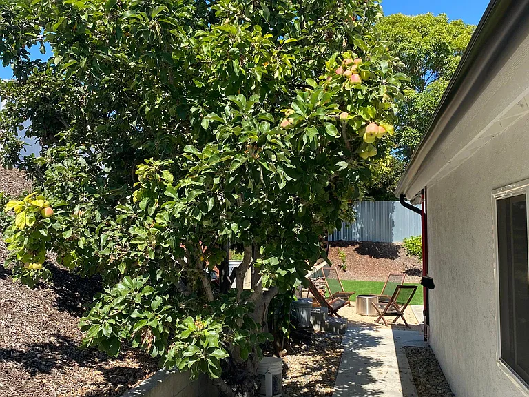 26195 Paseo Manana — Photo 54