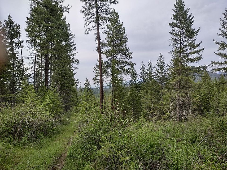 1st image of E Jump Off Joe Rd #125 acres