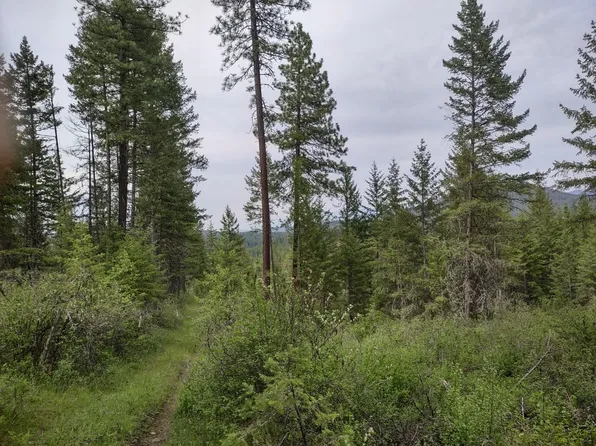 E Jump Off Joe Rd #125 acres, Valley, WA 99181