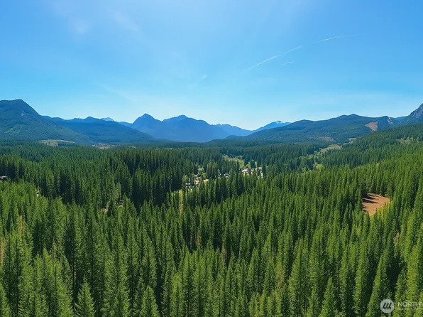 0 Lot 3 Sasquatch Lane, Packwood, WA 98361