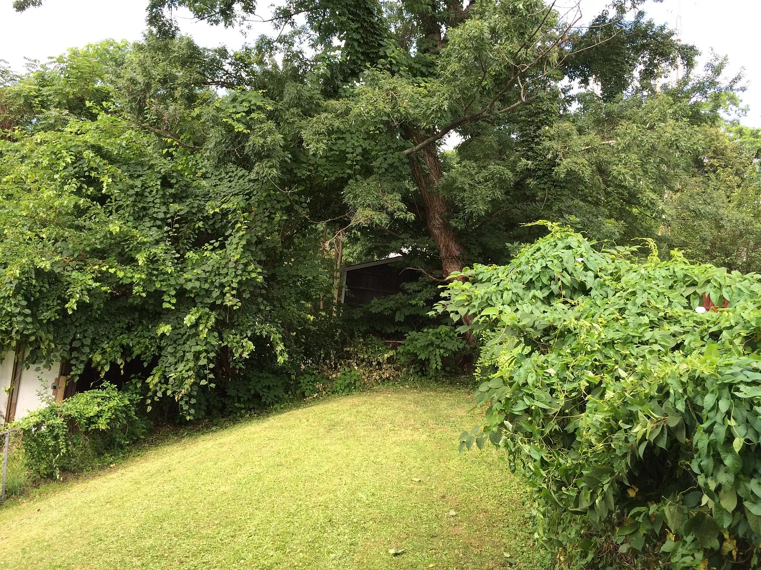 3 bed, 1230 sqft, $1,600 — Photo 3