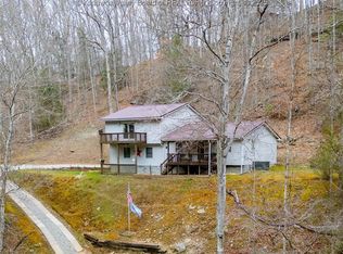 254 Wicket Rd, Clendenin, WV 25045