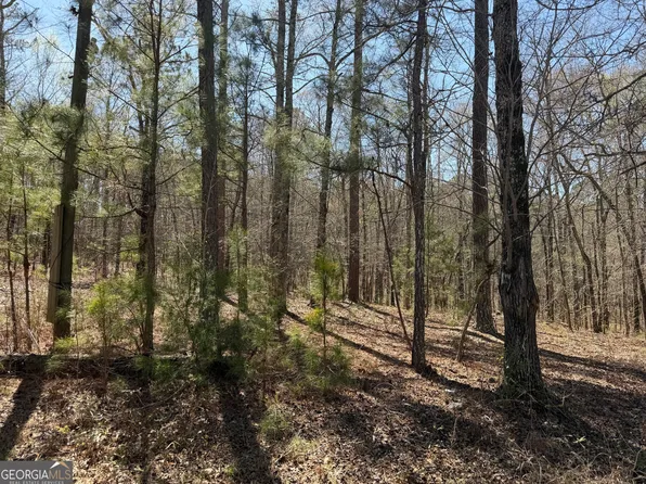 1430 Cleveland Farm Rd, Locust Grove, GA 30248