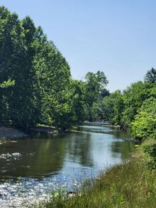 00 Girlstown Road, Mountain Grove, MO, 65711