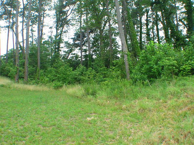 2nd image of 523 Brandon Point Rd