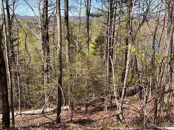 4th image of 33 Wilderness Lake Dr