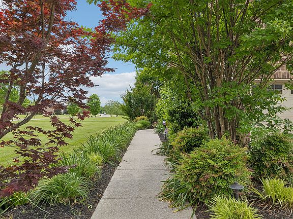 5th image of 803 Pine Terrace Dr