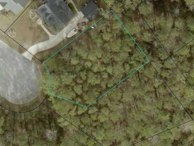 190 Joanna Gillard Ln., Georgetown, SC, 29440