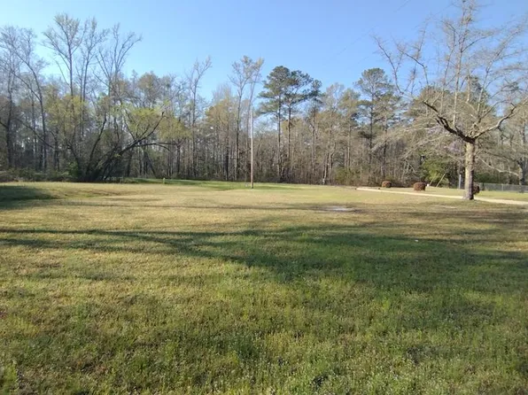 11541 Chattsworth Rd, Midland, GA 31820