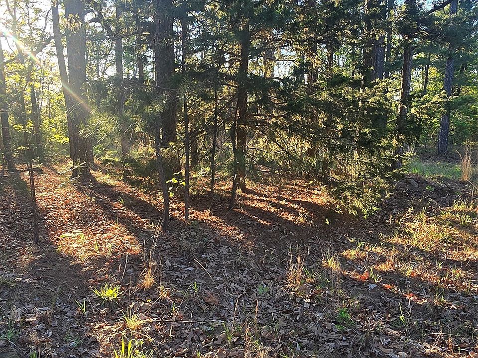 2nd image of 77 Little Cedar Rd