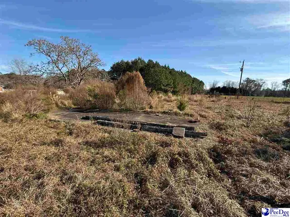 Tyler Dr, Hemingway, SC 29554