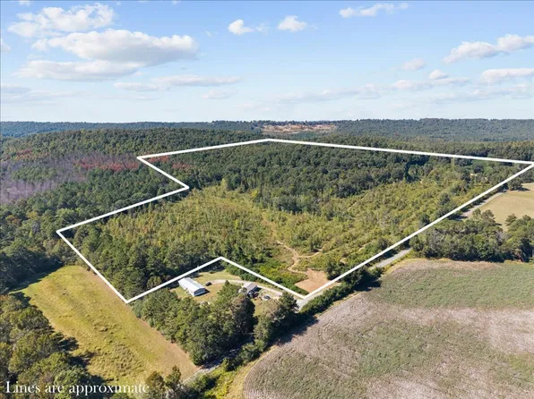 0 Douglas Ln, Oneonta, AL 35121