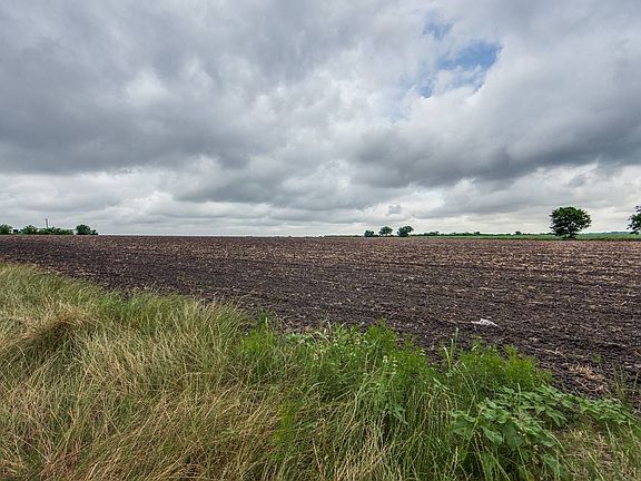 3rd image of 5515 Pfeil Rd