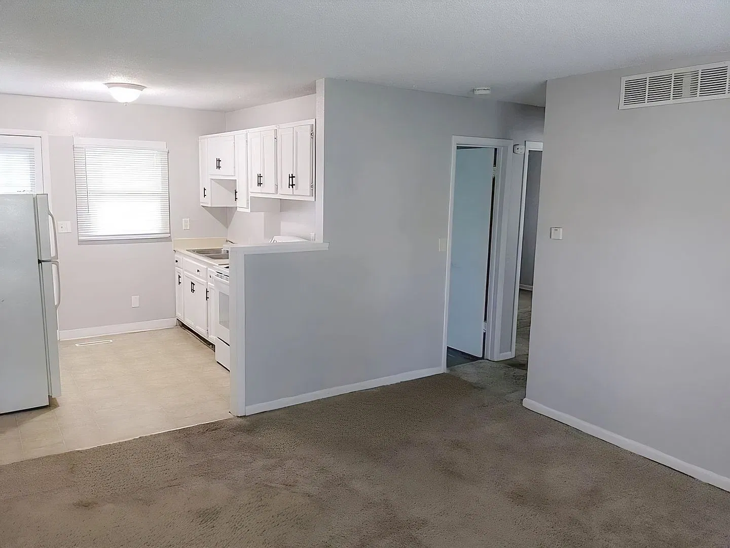 DM - 305 East 25th St South — Photo 3