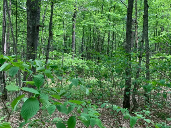 31 White Tailed Deer Dr, Tomahawk, WI 54487