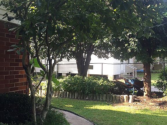 Side yard landscaping