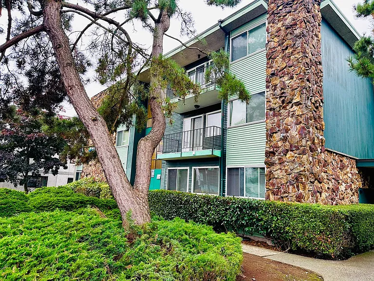 Greenwood Vista Apartments — Photo 11
