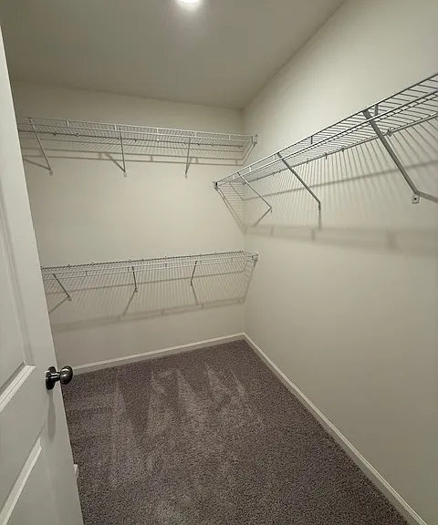 805 Smokey Ridge Rd — Photo 16