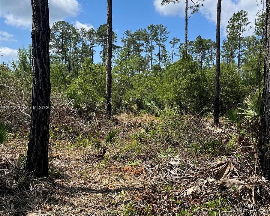 1st image of 117 Lodge Pole Cir