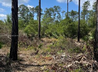 Whispering Pines, Georgetown, FL 32139