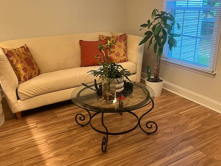 Dining room or extra room