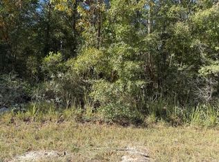 NE 108th Ave LOT 3, Bronson, FL 32621