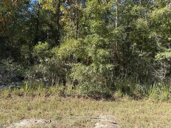 NE 108th Ave Lot 3, Bronson, FL 32621