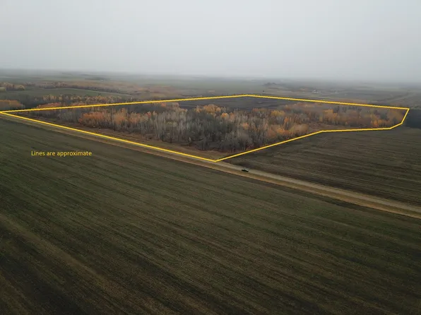 330th Ave NE, Goodridge, MN 56725