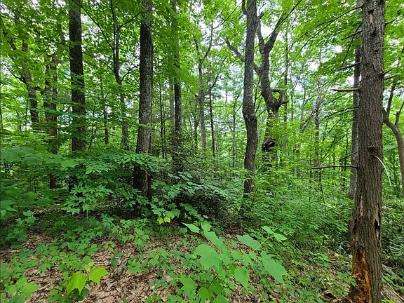 2nd image of 28 Sonshine Ridge Rd