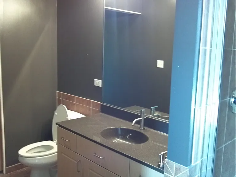 1720 S Michigan Ave #609 — Photo 8