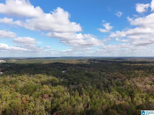 0 Limestone Way, Calera, AL 35040