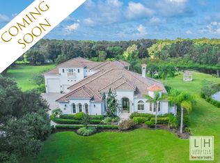 7234 Lithia Pinecrest Rd, Lithia, FL 33547