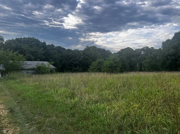 641 N Farm Road 35, Bois D Arc, MO 65612