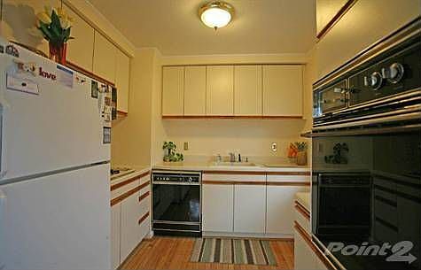 Bright and Cheery Kitchen