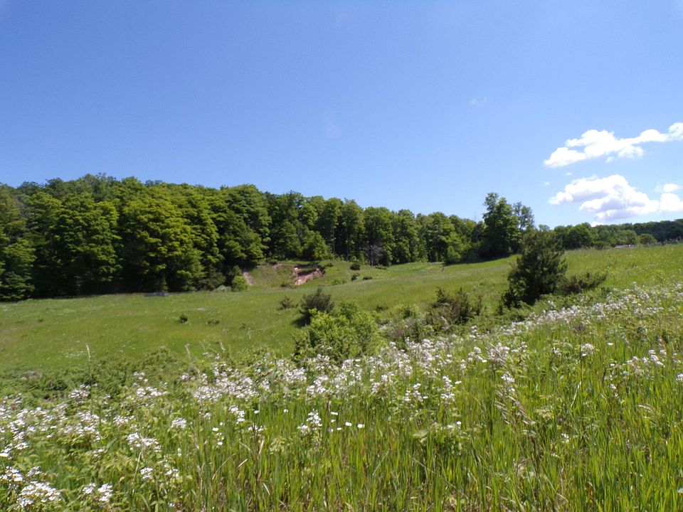 1st image of 9729 Mitchell Road 40 Acres