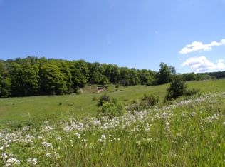 9729 Mitchell Road 40 Acres, Petoskey, MI 49770