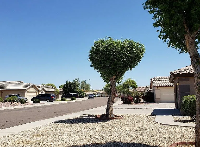 13353 W Cottonwood St — Photo 24