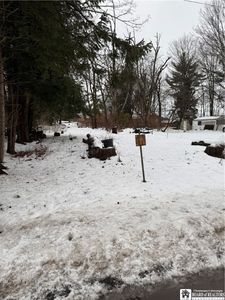 Elmcrest Ave, Lakewood, NY, 14750