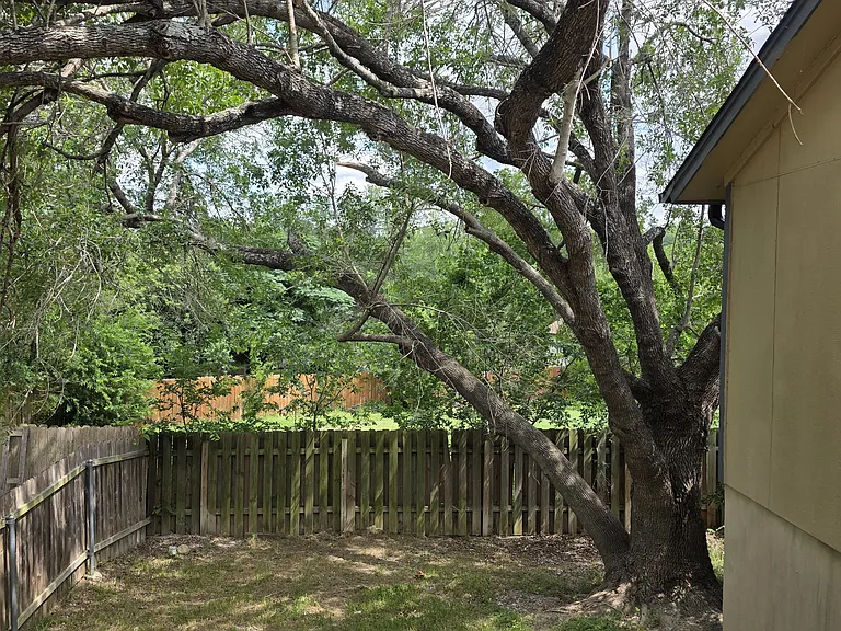 375 Fantail Loop — Photo 17