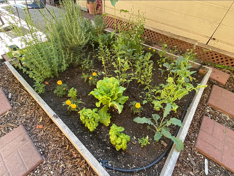 When I lived here, I gardened, but it's currently empty boxes.