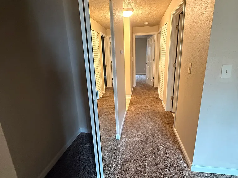 3909 Mason Loop Rd #1 — Photo 8