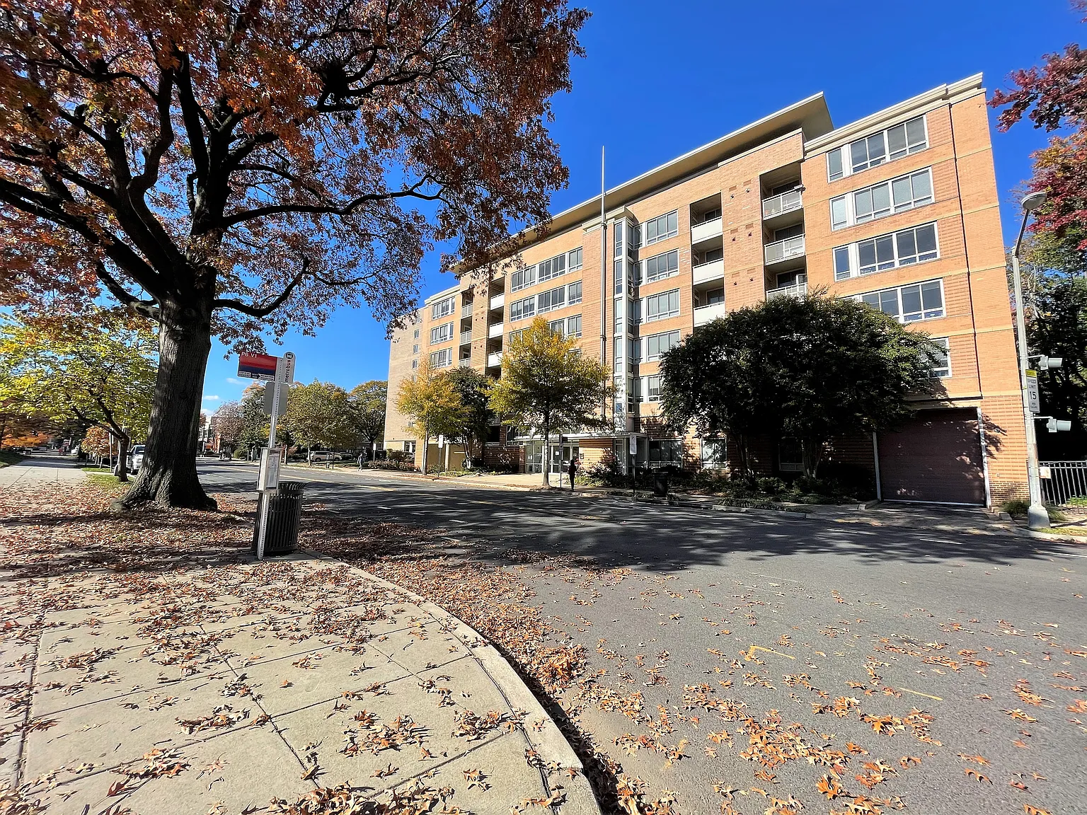Studio, 590 sqft, $1,695 — Photo 2