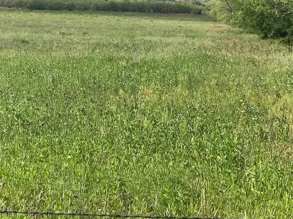 County Road 186, Ovalo, TX 79541