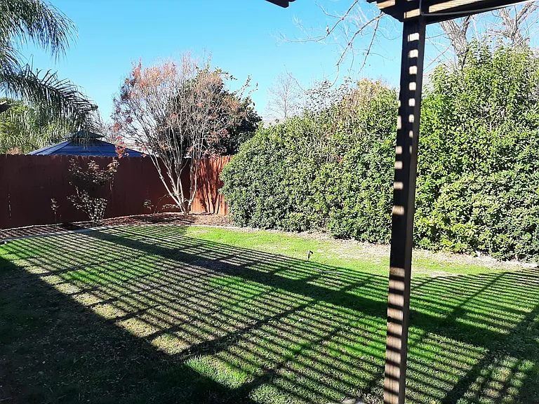 Backyard with covered patio