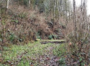 131XX Mountain Loop Hwy, Granite Falls, WA 98252