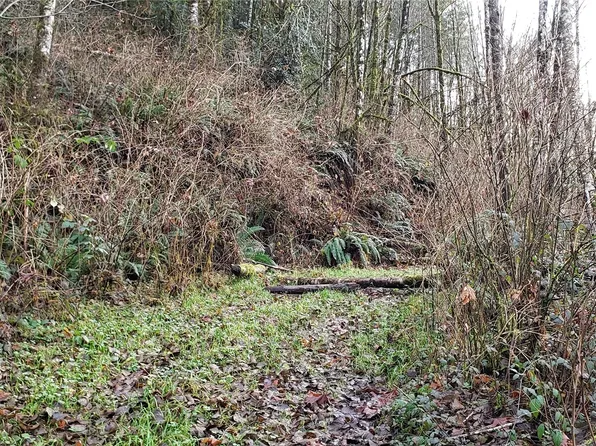 0 131xx Mountain Loop Highway, Granite Falls, WA 98252