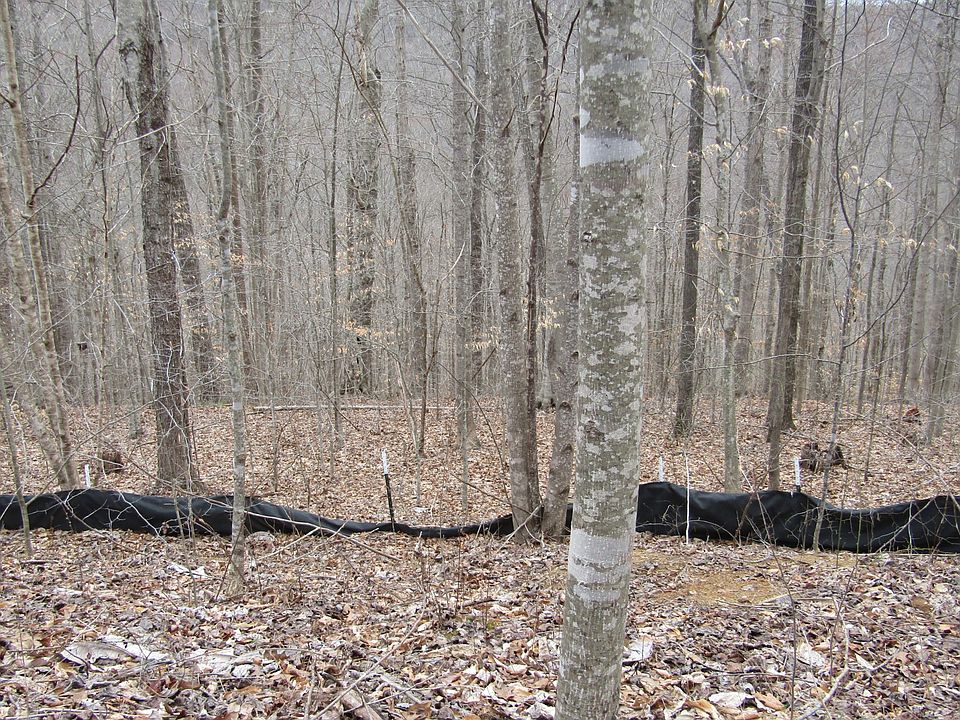 1st image of 0 W Bobcat Ln #60